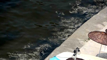 Gemlik'te Müsilaj Yeniden Görüldü