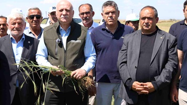 Aksaray'da Dolu Zararları için Yardım Talebi