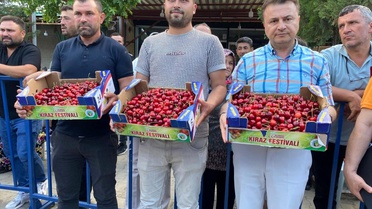 Alaşehir'in en güzel kirazı seçildi