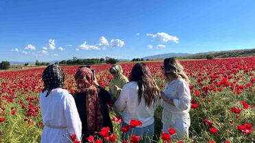 Elazığ'da Gelincik Tarlası Ziyaretçileri Ağırlıyor