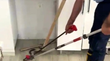 Evdeki Yılan Paniğe Neden Oldu