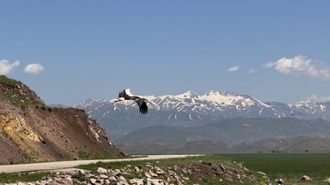 Öğrenciler Hakkari'de Biyoçeşitliliği İnceledi