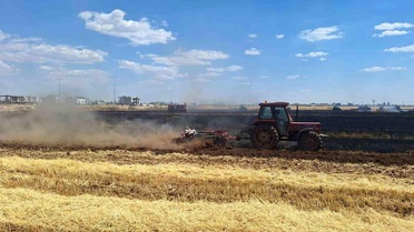 Kızıltepe'de Yangın: 80 Dönüm Buğday Alanı Zarar Gördü