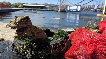 Marmara Denizi Günü'nde denizden maket dinozor çıktı