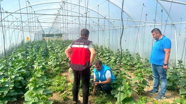 Tavşanlı'da Cezaevi Serası Denetimi