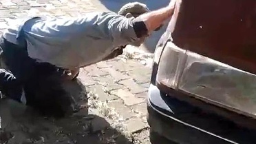 Otomobilin Motorunda Yılan Panic Yaratıyor