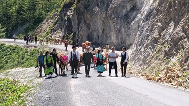 Yayla Göçü Şenliğe Dönüştü