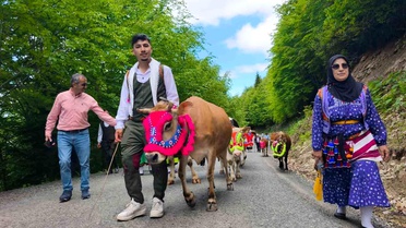 Trabzon'un Şalpazarı ilçesinde geleneksel yayla göçü başladı