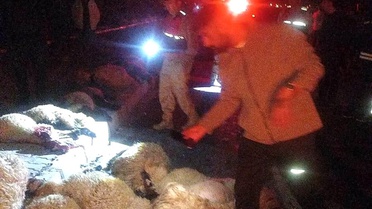 Van'da Trafik Kazası: 17 Koyun Telefi