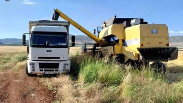 Gaziantep'te İlk Arpa Hasadı Yapıldı