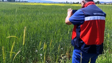 Çavdarhisar'da Tarımsal İzleme Süreci