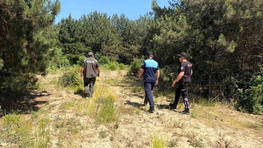 Dilovası'nda orman yangınlarına karşı sıkı denetim
