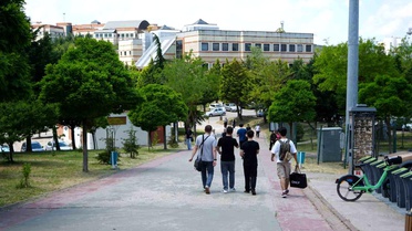 Kocaeli Üniversitesi'nde Köpek Sorunu Devam Ediyor