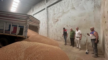 Koçarlı'da İlk Hububat Alımı Gerçekleşti