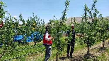 Niğde'de Dolu ve Sağanak Zarara Yol Açtı