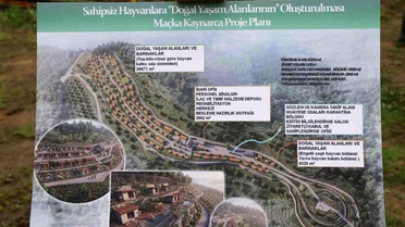 Trabzon'da sokak köpeklerine ev sahipliği yapacak yeni bir barınak inşa edilecek