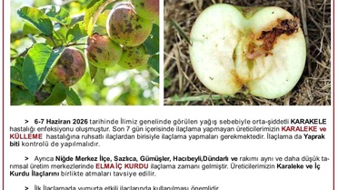 Elma Üreticilerine Hastalık Uyarısı