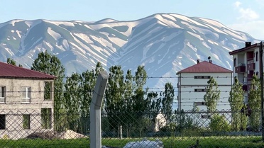 Yüksekova Dağları'nda Zebra Görüntüsü