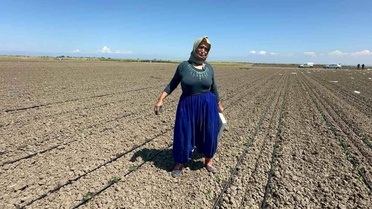 70 Yaşındaki Tarım Emektarı Azmiyle Takdir Topluyor