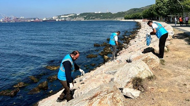 Dilovası'nda Marmara Denizi için sahil temizliği yapıldı