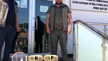 Antalya'da yasa dışı kuş ticaretine baskın