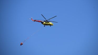 Turgutlu'da Orman Yangınına Müdahale