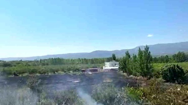Mersin Mut'ta yangın: 15 dönüm bahçe zarar gördü