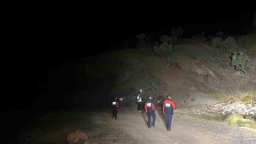 Siirt'te Kaybolan Çoban İçin Arama Başlatıldı
