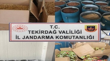 Tekirdağ'da 24 Ton Kaçak Tütün Ele Geçirildi