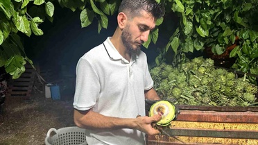 Bursa'da Enginar Soyucularının Başarı Hikayesi
