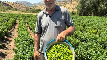 Çermik Biberi Pazarında Fırsatlar