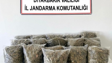 Diyarbakır'da 38,5 Kilo Esrar Ele Geçirildi