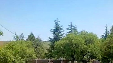 Elazığ'da Dağ Keçileri Mezarlıkta Görüntülendi