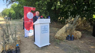 Öğrencilerden Zeytin Fidanı Dikimi