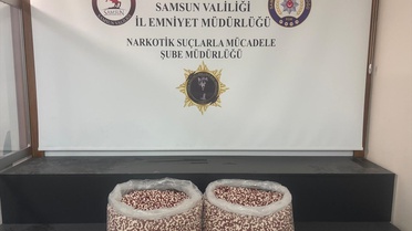 Samsun'da Tırda 129 Bin Sentetik Ecza Hapı Ele Geçirildi