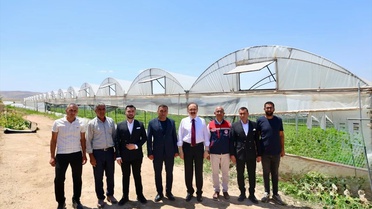 Vali Kızılkaya'dan Yumurta Tesisi ve Sera İncelemesi