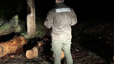 Sinop'ta Orman Yangınlarına Karşı Kesintisiz Denetim