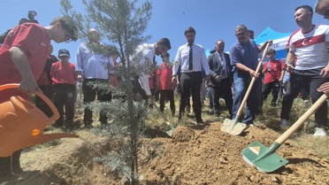 Güreş Federasyonu'ndan Hatıra Ormanı