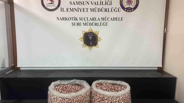 Samsun'da Tırda 129 Bin Uyuşturucu Hap Ele Geçirildi