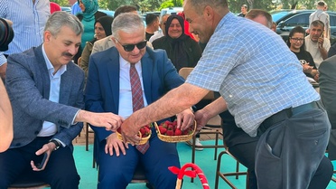 Aksaray'da 690 Bin Çilek Fidesi Dağıtımı