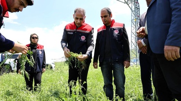 Akyaka'da Dolu Zararı: Çiftçiler Mağdur