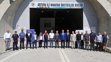 Artvin'de İstiridye Mantarı Hasadı Başladı