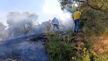 Bozdoğan'da arazi yangını
