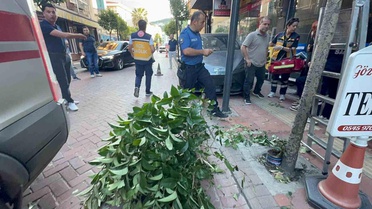 Amasra'da Kaza: Araç Kaldırıma Çıktı, Sürücü Yaralandı
