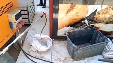 Gaziantep'te yerleşim yerinde yılan paniği