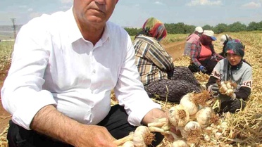 Toprak Bayramı Haftası'nda Mesajlar