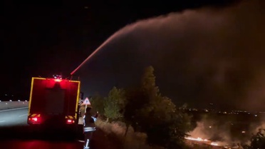 Hatay'da korkutan yangın: 200 dönümlük zeytinlik alanı kül oldu