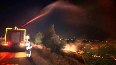 Hatay'da Anız Yangını Zeytinliklere Sıçradı