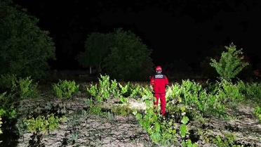 Afyon'da Kayıp 82 Yaşındaki Halil Kocabıyık Aranıyor