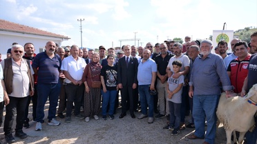 Nevşehir'de Damızlık Koç Dağıtımı
